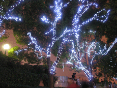 Декоративно-световое оформление деревьев светодиодными гирляндами