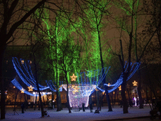 Декоративно-световое оформление деревьев светодиодными гирляндами прожекторами на Фестивале света